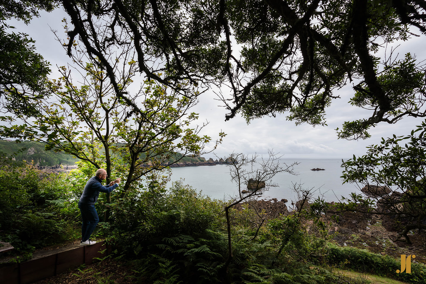 Art for Guernsey landscape 15
