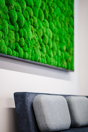 Architecture and interior photograph