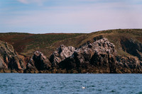 Alderney 230816130