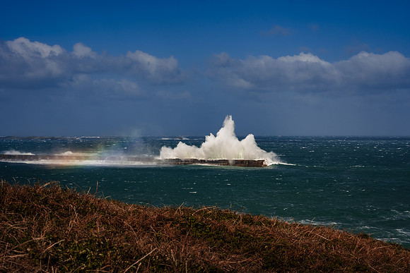 Alderney 240409143