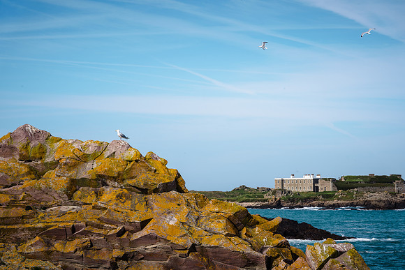 Alderney 240412184