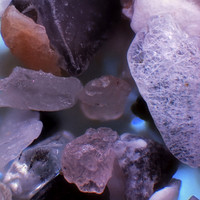 MICROSCOPY PORTFOLIO IMAGE