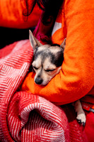 JR_AFG_260210016A