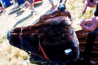 JR_CHAOS_130713019A