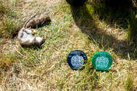 JR_CHAOS_130713018A