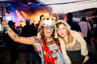 VALE EARTH FAIR