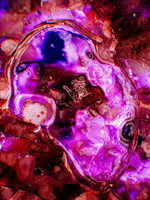 BUBBLE TOWN
