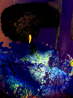 SINGULARITY
